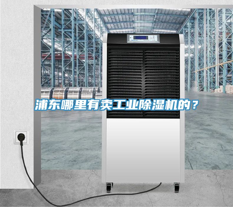 浦东哪里有卖工业91免费网站在线观看的？