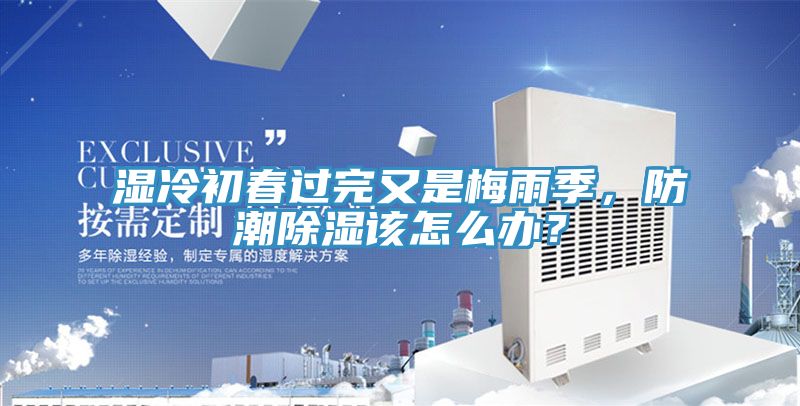 湿冷初春过完又是梅雨季，防潮除湿该怎么办？