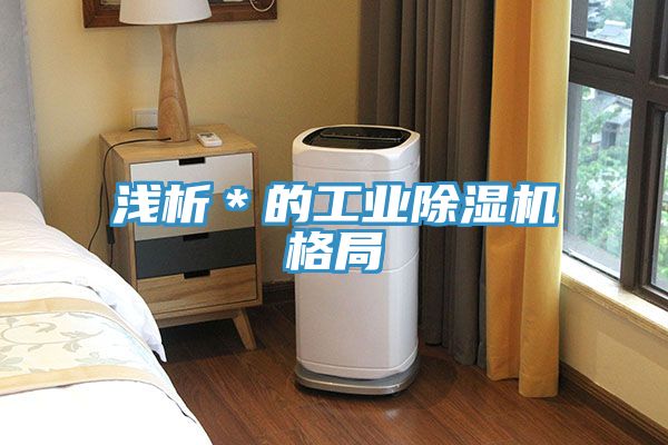 浅析＊的工业91免费网站在线观看格局