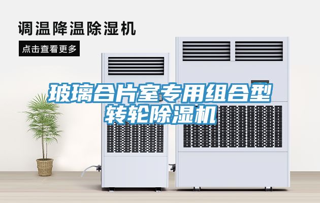 玻璃合片室专用组合型转轮91免费网站在线观看