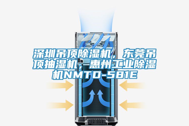 深圳吊顶91免费网站在线观看，东莞吊顶抽湿机，惠州工业91免费网站在线观看NMTD-581E