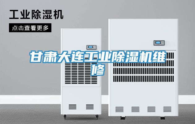 甘肃大连工业91免费网站在线观看维修