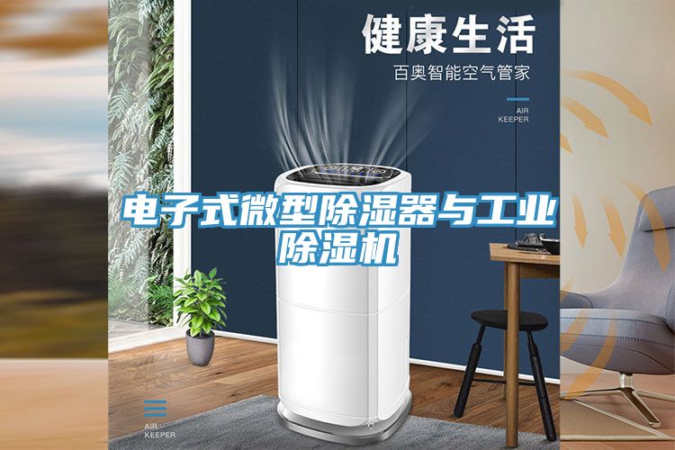 电子式微型除湿器与工业91免费网站在线观看
