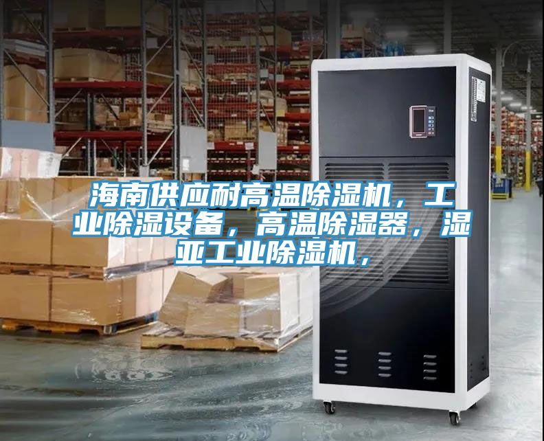 海南供应耐高温91免费网站在线观看，工业除湿设备，高温除湿器，湿亚工业91免费网站在线观看，