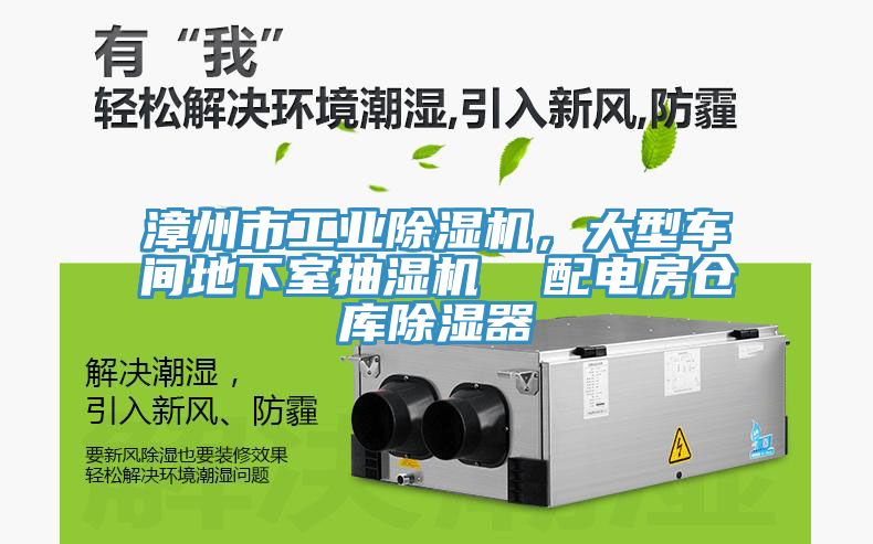 漳州市工业91免费网站在线观看，大型车间地下室抽湿机  配电房仓库除湿器