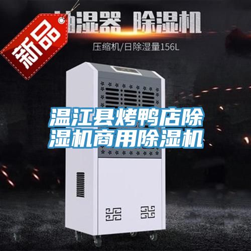 温江县烤鸭店91免费网站在线观看商用91免费网站在线观看