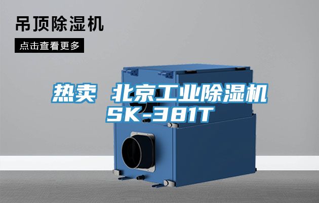 热卖 北京工业91免费网站在线观看SK-381T