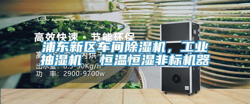 浦东新区车间91免费网站在线观看，工业抽湿机  恒温恒湿非标机器