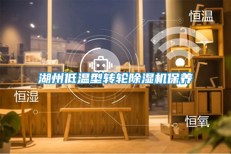 湖州低温型转轮91免费网站在线观看保养