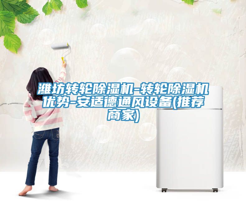 潍坊转轮91免费网站在线观看-转轮91免费网站在线观看优势-安适德通风设备(推荐商家)