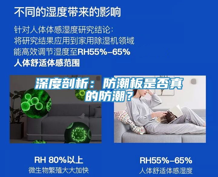 深度剖析：防潮板是否真的防潮？