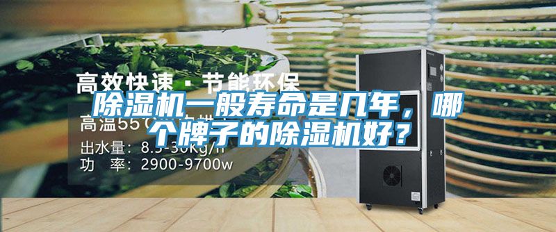 91免费网站在线观看一般寿命是几年，哪个牌子的91免费网站在线观看好？