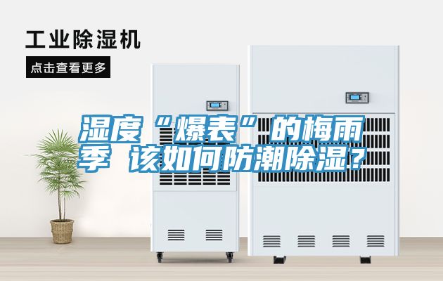 湿度“爆表”的梅雨季 该如何防潮除湿？