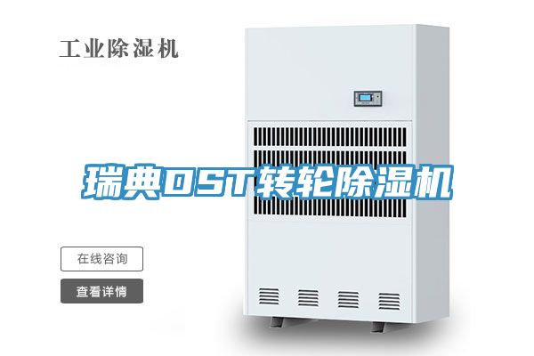 瑞典DST转轮91免费网站在线观看