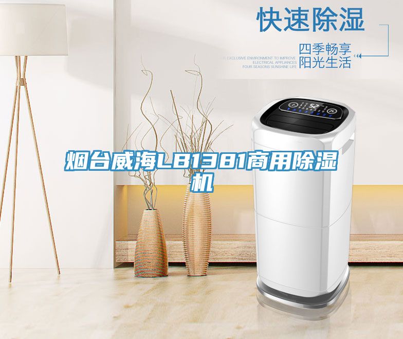 烟台威海LB1381商用91免费网站在线观看
