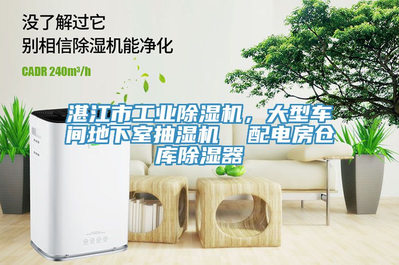 湛江市工业91免费网站在线观看，大型车间地下室抽湿机  配电房仓库除湿器