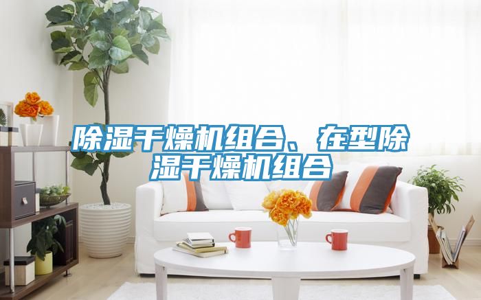 除湿干燥机组合、在型除湿干燥机组合