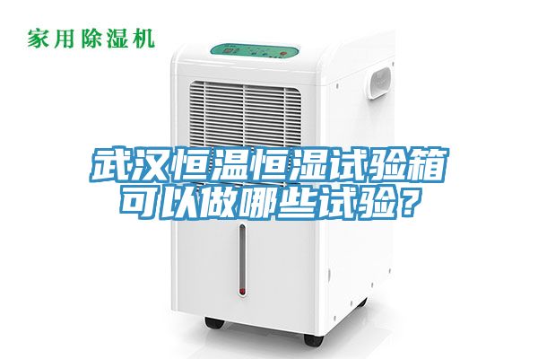 武汉恒温恒湿试验箱可以做哪些试验？
