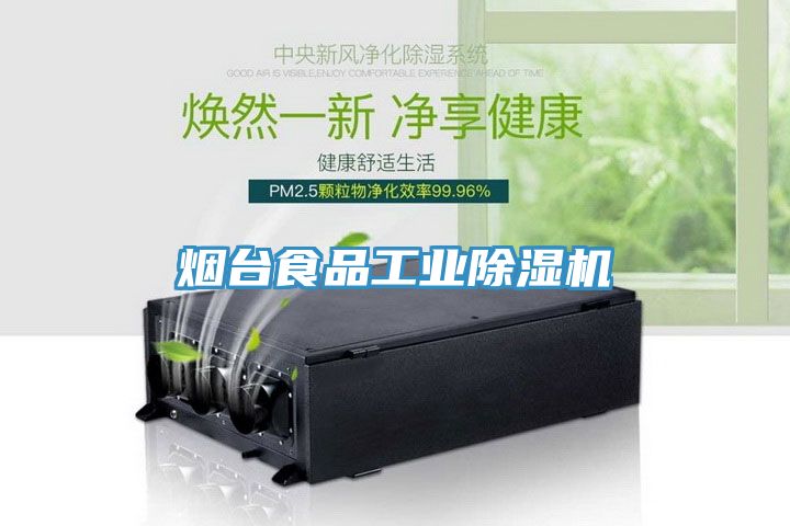 烟台食品工业91免费网站在线观看