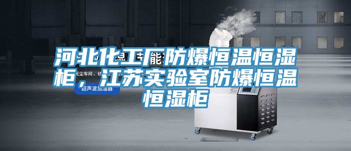 河北化工厂防爆恒温恒湿柜，江苏实验室防爆恒温恒湿柜