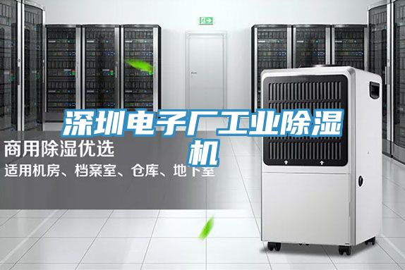 深圳电子厂工业91免费网站在线观看