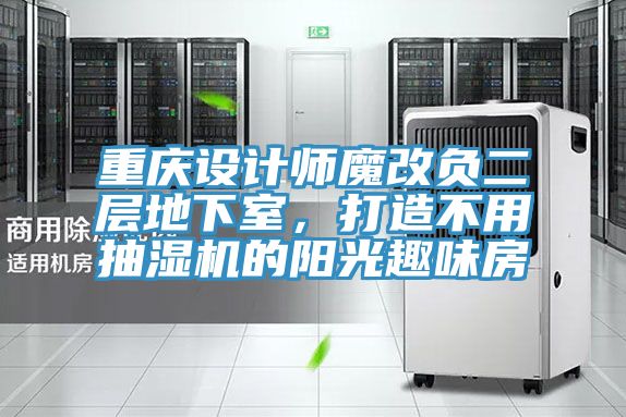 重庆设计师魔改负二层地下室，打造不用抽湿机的阳光趣味房