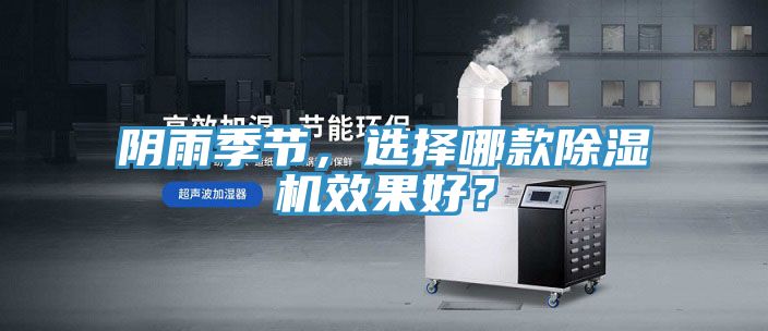 阴雨季节，选择哪款91免费网站在线观看效果好？