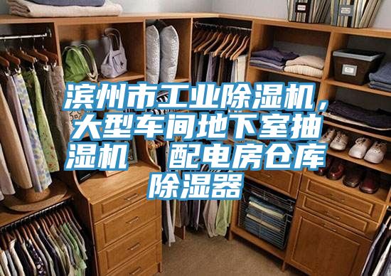 滨州市工业91免费网站在线观看，大型车间地下室抽湿机  配电房仓库除湿器