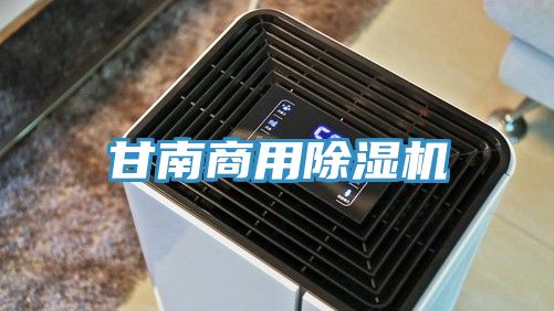 甘南商用91免费网站在线观看