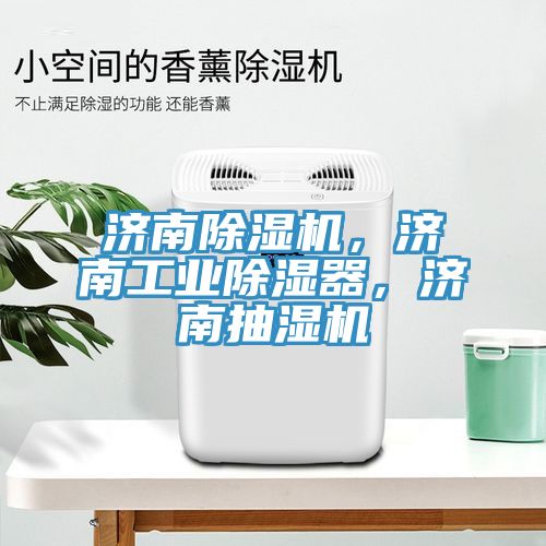济南91免费网站在线观看，济南工业除湿器，济南抽湿机