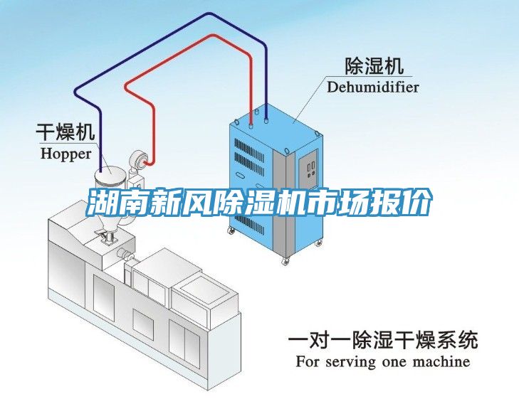 湖南新风91免费网站在线观看市场报价