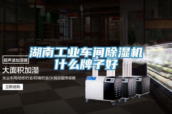 湖南工业车间91免费网站在线观看什么牌子好