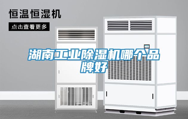 湖南工业91免费网站在线观看哪个品牌好