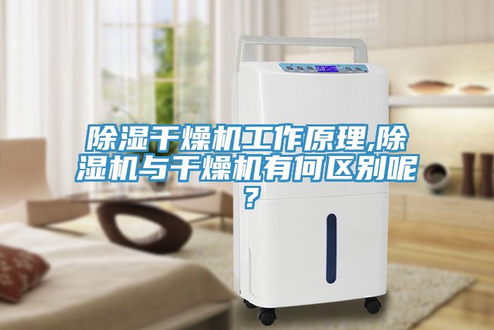 除湿干燥机工作原理,91免费网站在线观看与干燥机有何区别呢？