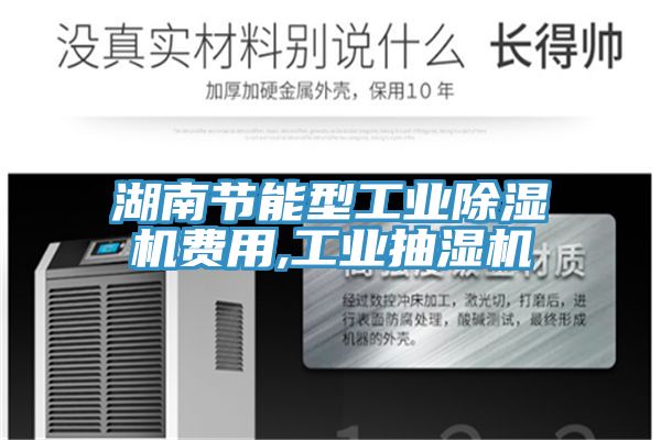 湖南节能型工业91免费网站在线观看费用,工业抽湿机