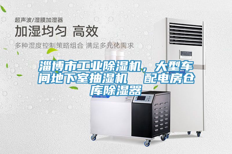 淄博市工业91免费网站在线观看，大型车间地下室抽湿机  配电房仓库除湿器