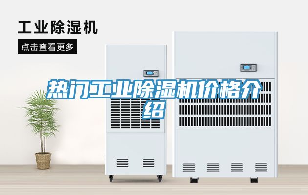 热门工业91免费网站在线观看价格介绍
