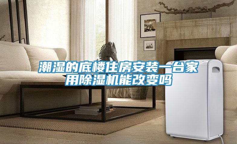 潮湿的底楼住房安装一台家用91免费网站在线观看能改变吗