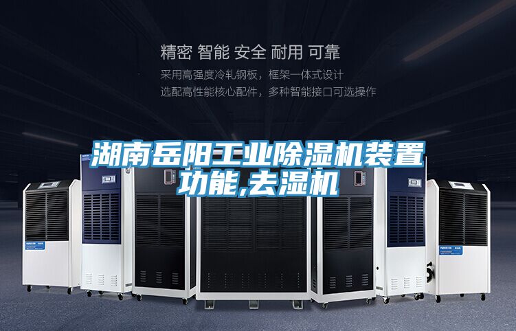 湖南岳阳工业91免费网站在线观看装置功能,去湿机