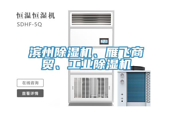 滨州91免费网站在线观看、雁飞商贸、工业91免费网站在线观看