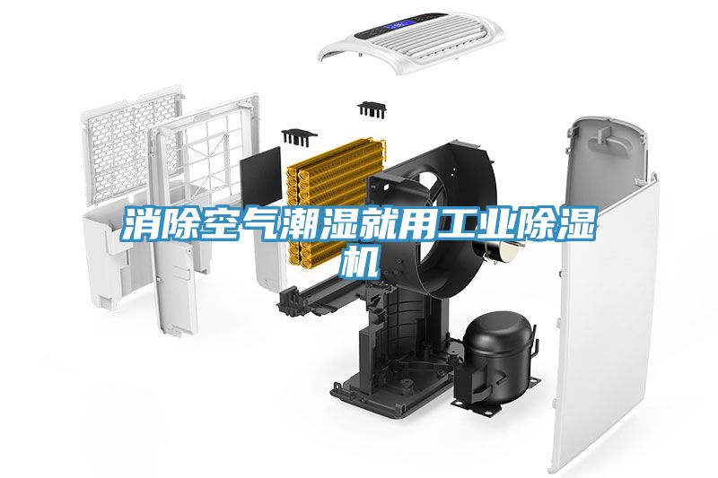 消除空气潮湿就用工业91免费网站在线观看
