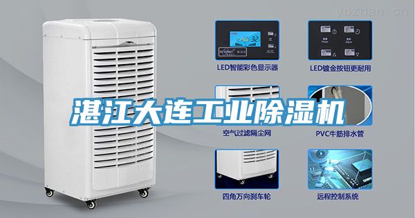 湛江大连工业91免费网站在线观看