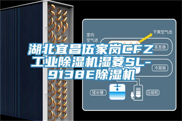 湖北宜昌伍家岗CFZ工业91免费网站在线观看湿菱SL-9138E91免费网站在线观看