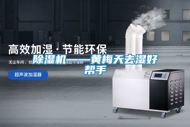 91免费网站在线观看——黄梅天去湿好帮手