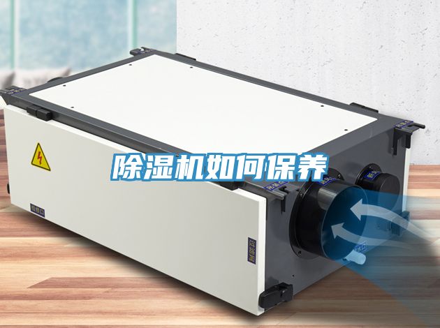 91免费网站在线观看如何保养