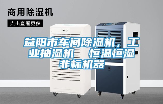 益阳市车间91免费网站在线观看，工业抽湿机  恒温恒湿非标机器
