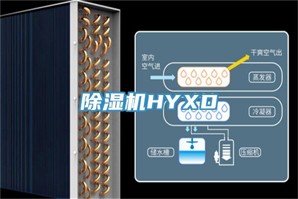 91免费网站在线观看HYXD