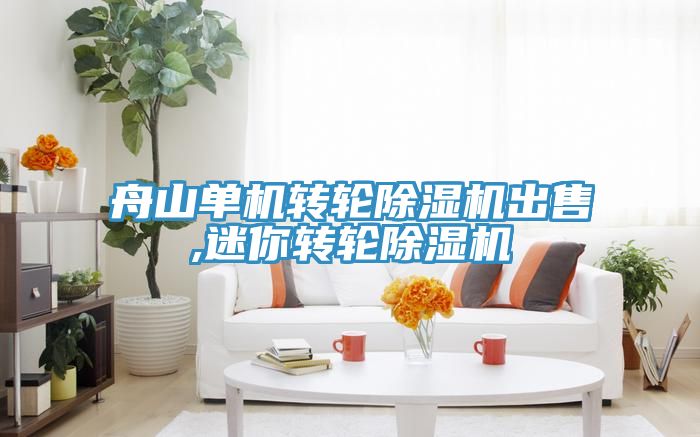 舟山单机转轮91免费网站在线观看出售,迷你转轮91免费网站在线观看