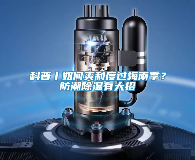 科普丨如何爽利度过梅雨季？防潮除湿有大招