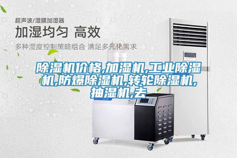 91免费网站在线观看价格,加湿机,工业91免费网站在线观看,防爆91免费网站在线观看,转轮91免费网站在线观看,抽湿机,去